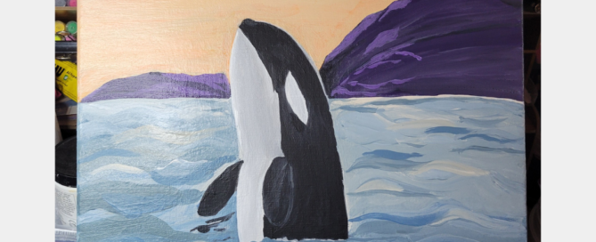 Skyhop Orca with birds in the sky.
