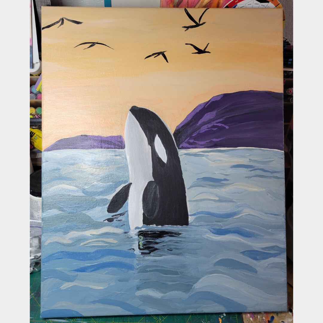 Skyhop Orca with birds in the sky.